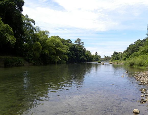 Layou River