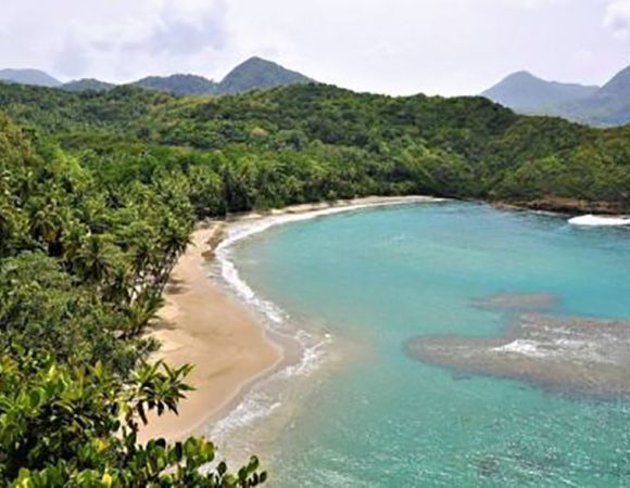 Woodfordhill Beach