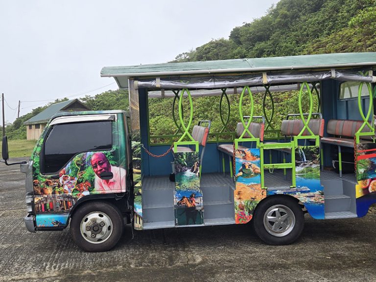 18 seater open trolly rain forest waterfalls spring and city tour