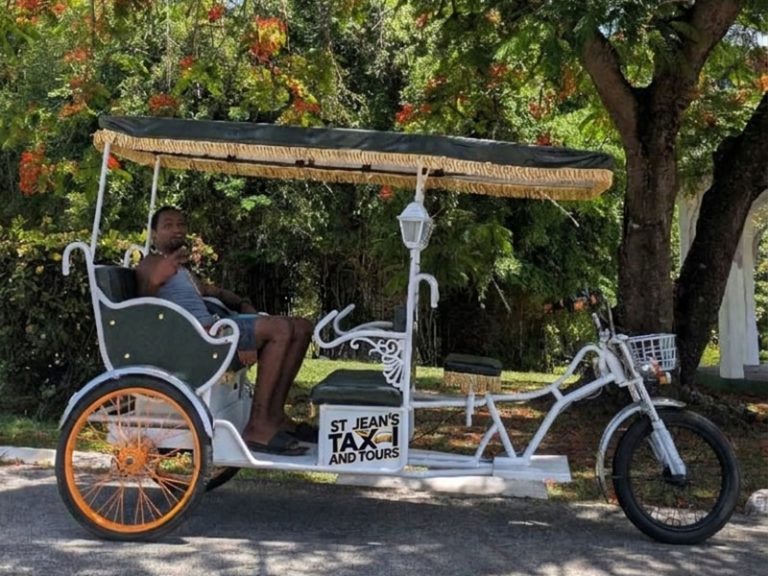 3 passenger city rickshaw for city tours 45mins Max
